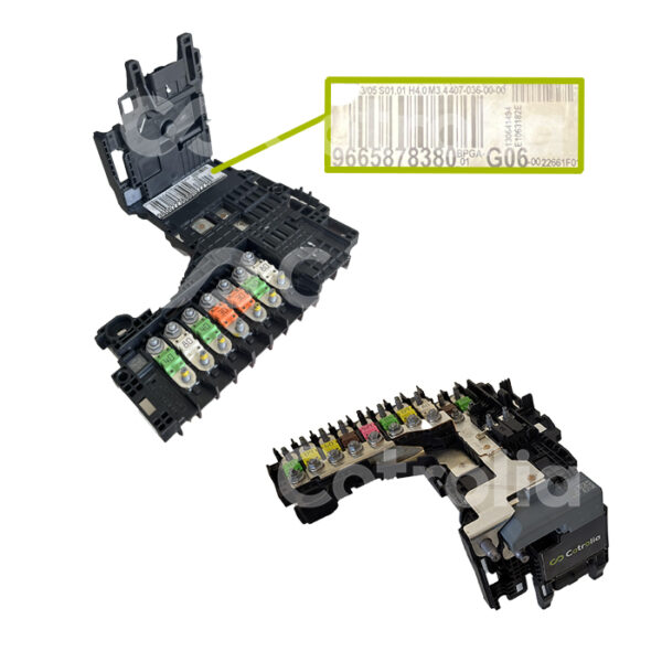 Boitier BPGA G06 B1624 508 / C4 / C5 / DS4 / DS5